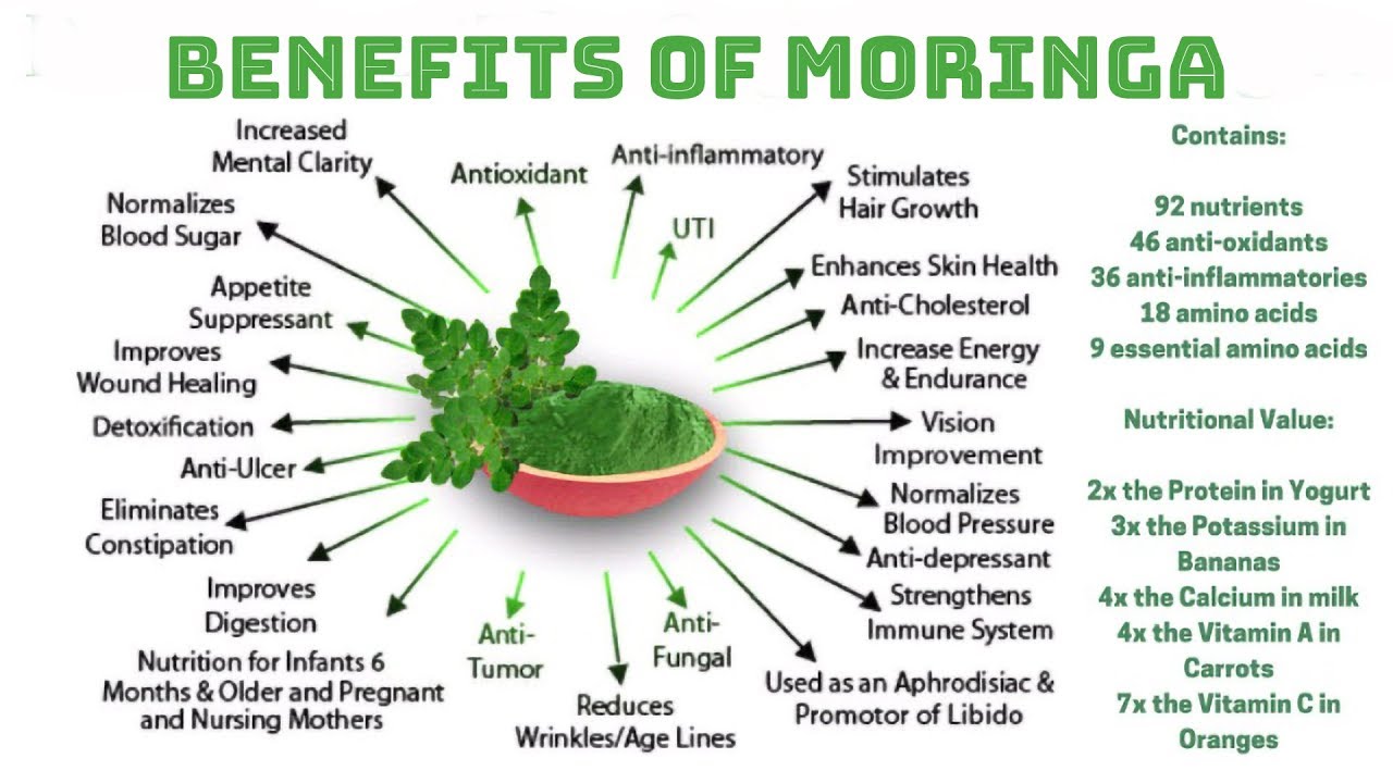Moringa oleifera nutritional facts nutrients drumstick anslagstavla välj infograph antioxidants